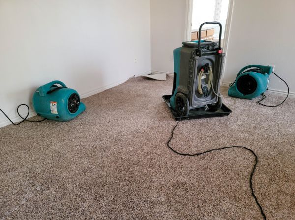 Basement Mold Removal